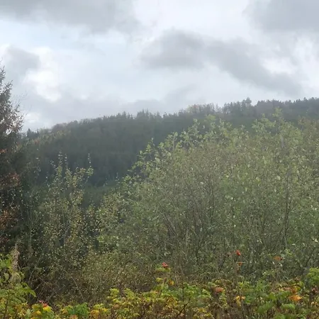 Berg Idyllika * Willingen (Upland)