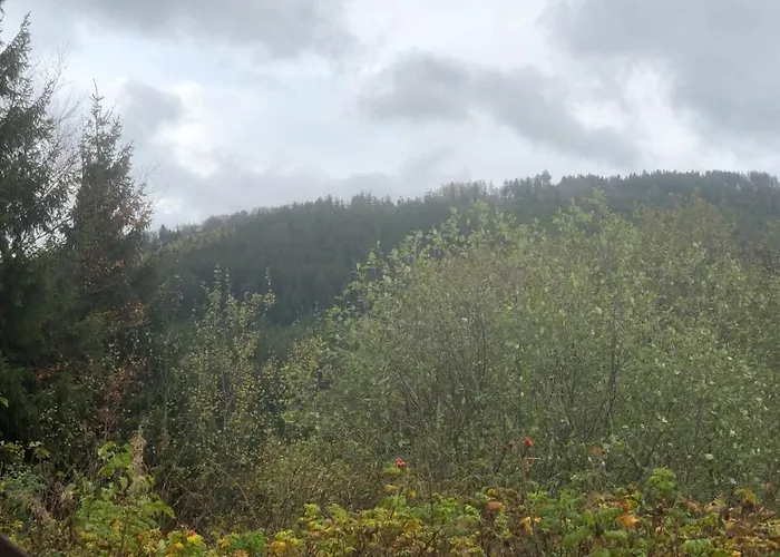 Berg Idyllika * 빌링겐